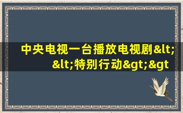 中央电视一台播放电视剧<<特别行动>>下午几点播放